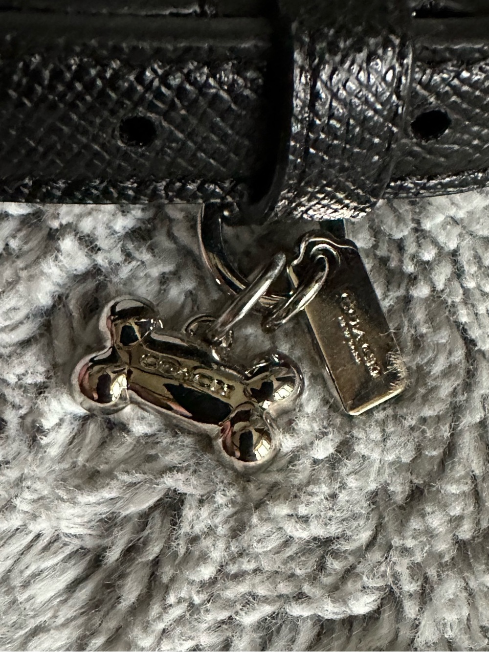 Coach Small Leather Pet Collar - Picture 3 of 10